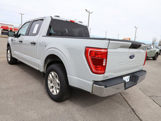 2023 Ford F-150 XLT 2WD 5.5ft Box