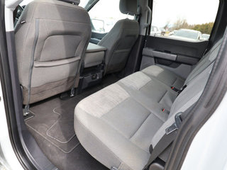 2023 Ford F-150 XLT 2WD 5.5ft Box