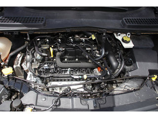 2019 Ford Escape SEL FWD