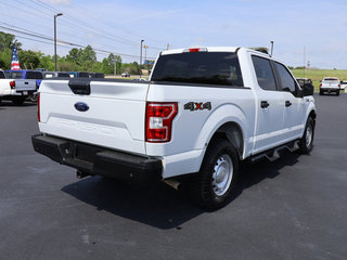 2019 Ford F-150 XL 4WD 5.5ft Box