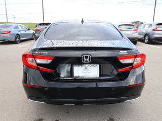 2022 Honda Accord EX-L 1.5T