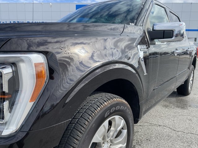 2021 Ford F-150 Platinum 4WD 6.5ft Box