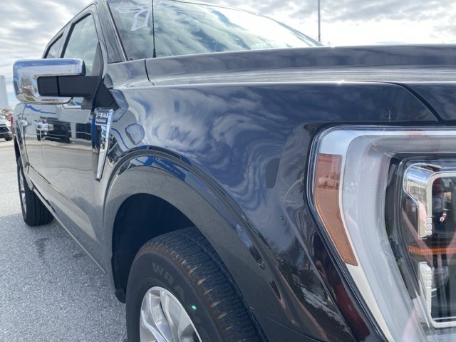 2021 Ford F-150 Platinum 4WD 6.5ft Box