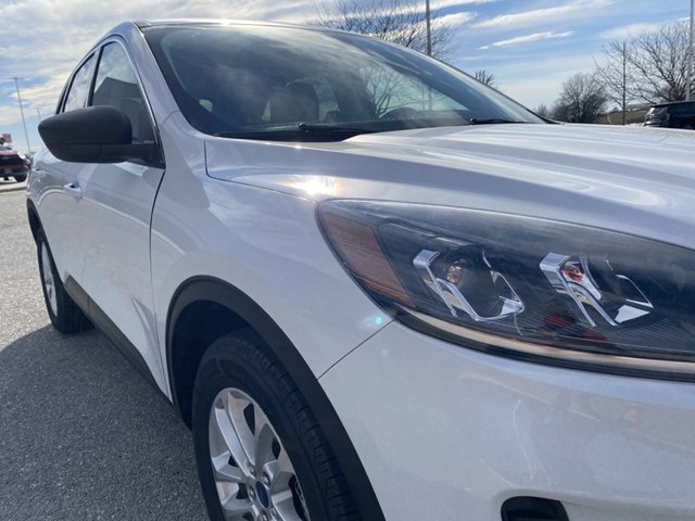 2022 Ford Escape SE FWD