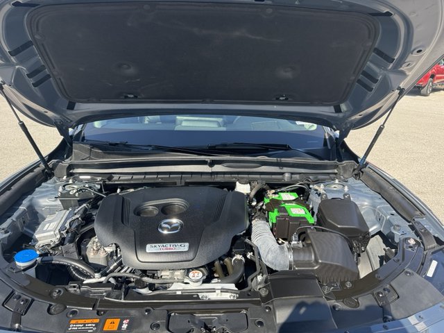 2023 Mazda CX-50 2.5 Turbo Prem Plus AWD