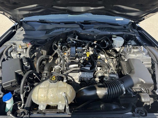 2022 Ford Mustang EcoBoost