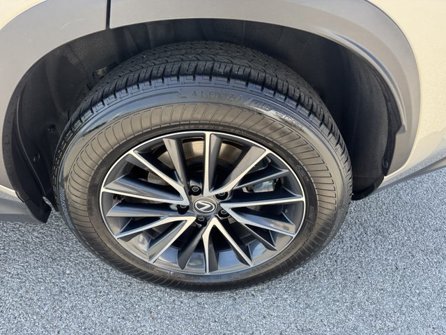 2024 Lexus NX250 Premium FWD