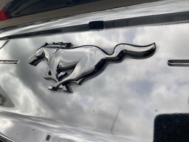 2021 Ford Mustang EcoBoost