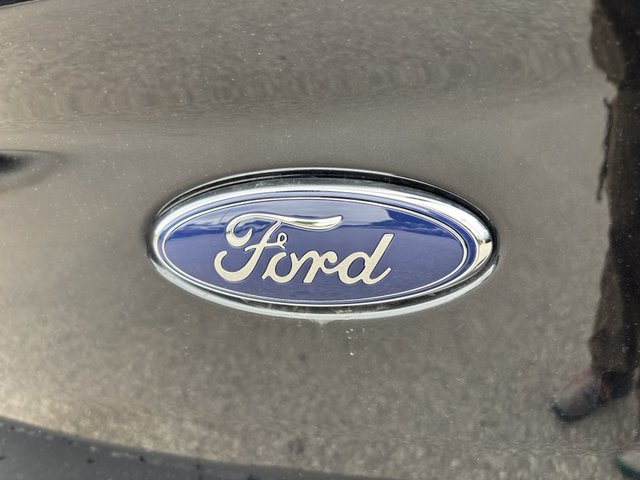 2022 Ford Transit Connect XL LWB w/Rear Sym