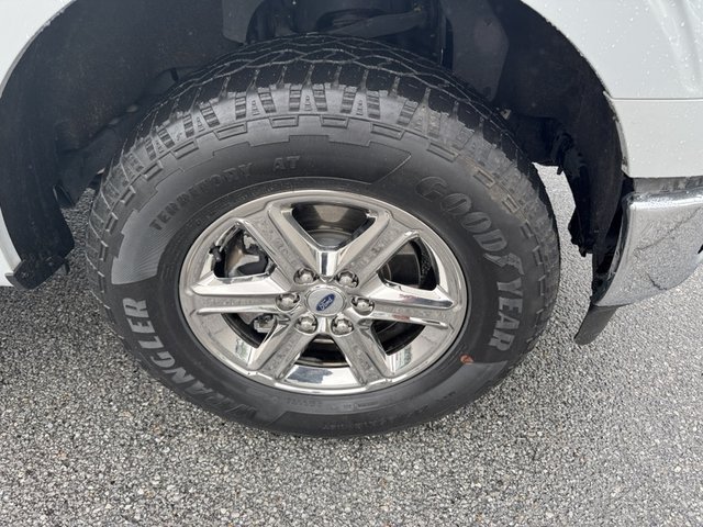 2024 Ford F-150 XLT 4WD 5.5ft Box