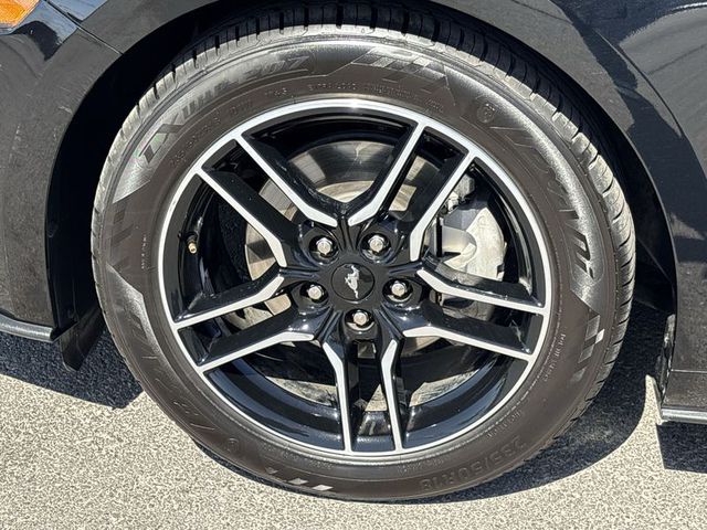 2023 Ford Mustang EcoBoost