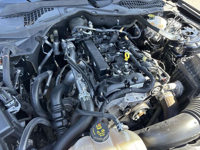 2023 Ford Mustang EcoBoost