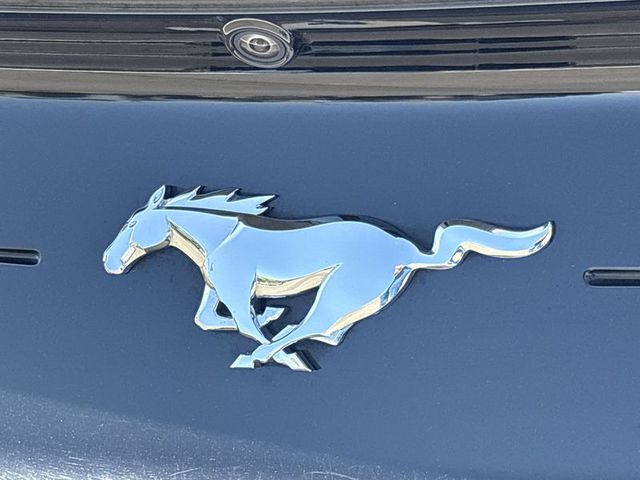 2023 Ford Mustang EcoBoost