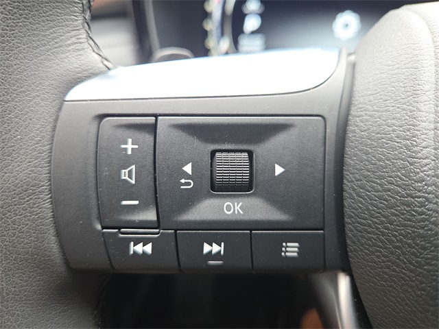 2024 INFINITI QX60 LUXE FWD