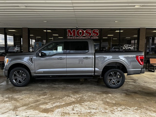 2023 Ford F-150 4WD photo
