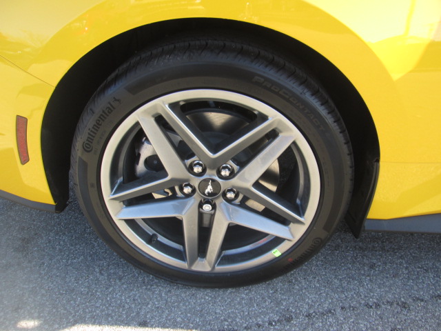 2024 Ford Mustang GT photo