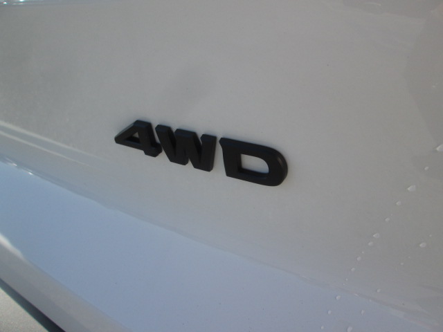 2025 Nissan Pathfinder Rock Creek 4WD photo