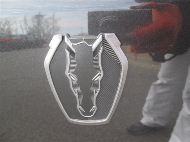 2024 Ford Mustang Dark Horse photo