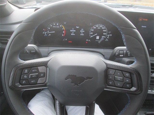 2024 Ford Mustang Dark Horse photo