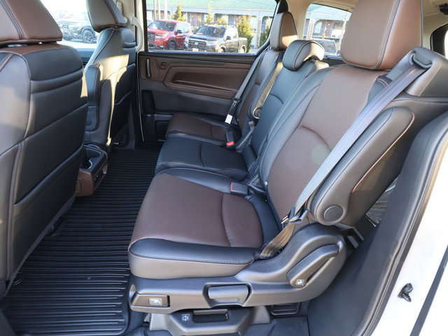 2025 Honda Odyssey Elite photo