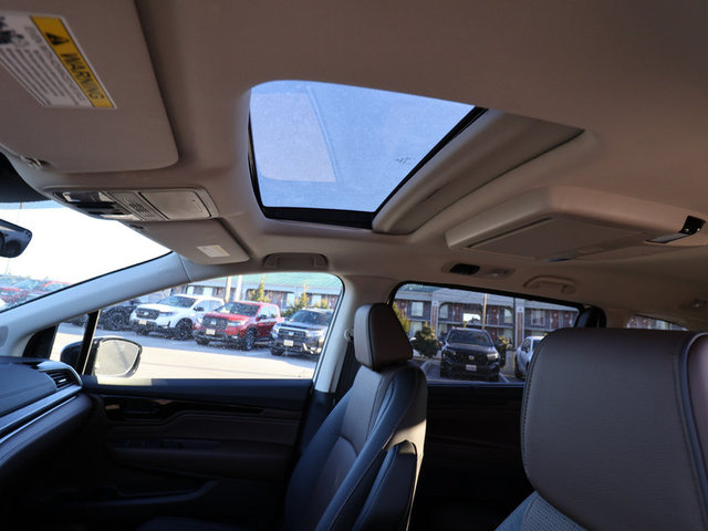 2025 Honda Odyssey Elite photo