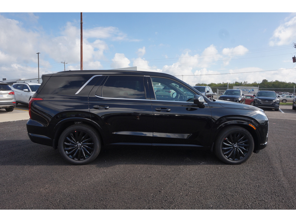 2025 Hyundai Palisade Calligraphy Night Ed AWD 3